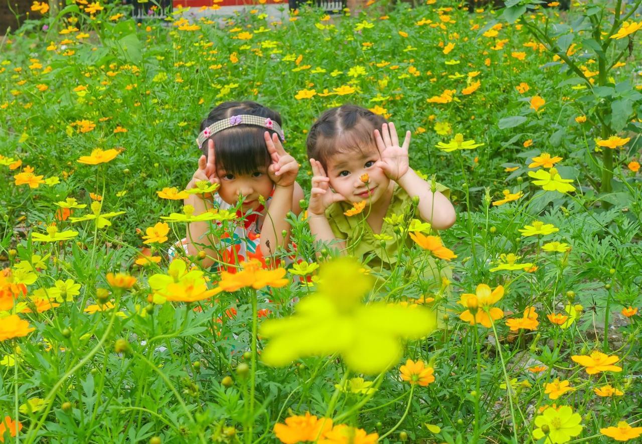 Ninh Binh Mountain Side Homestay & Cafe Esterno foto
