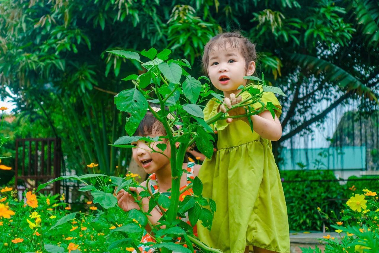 Ninh Binh Mountain Side Homestay & Cafe Esterno foto