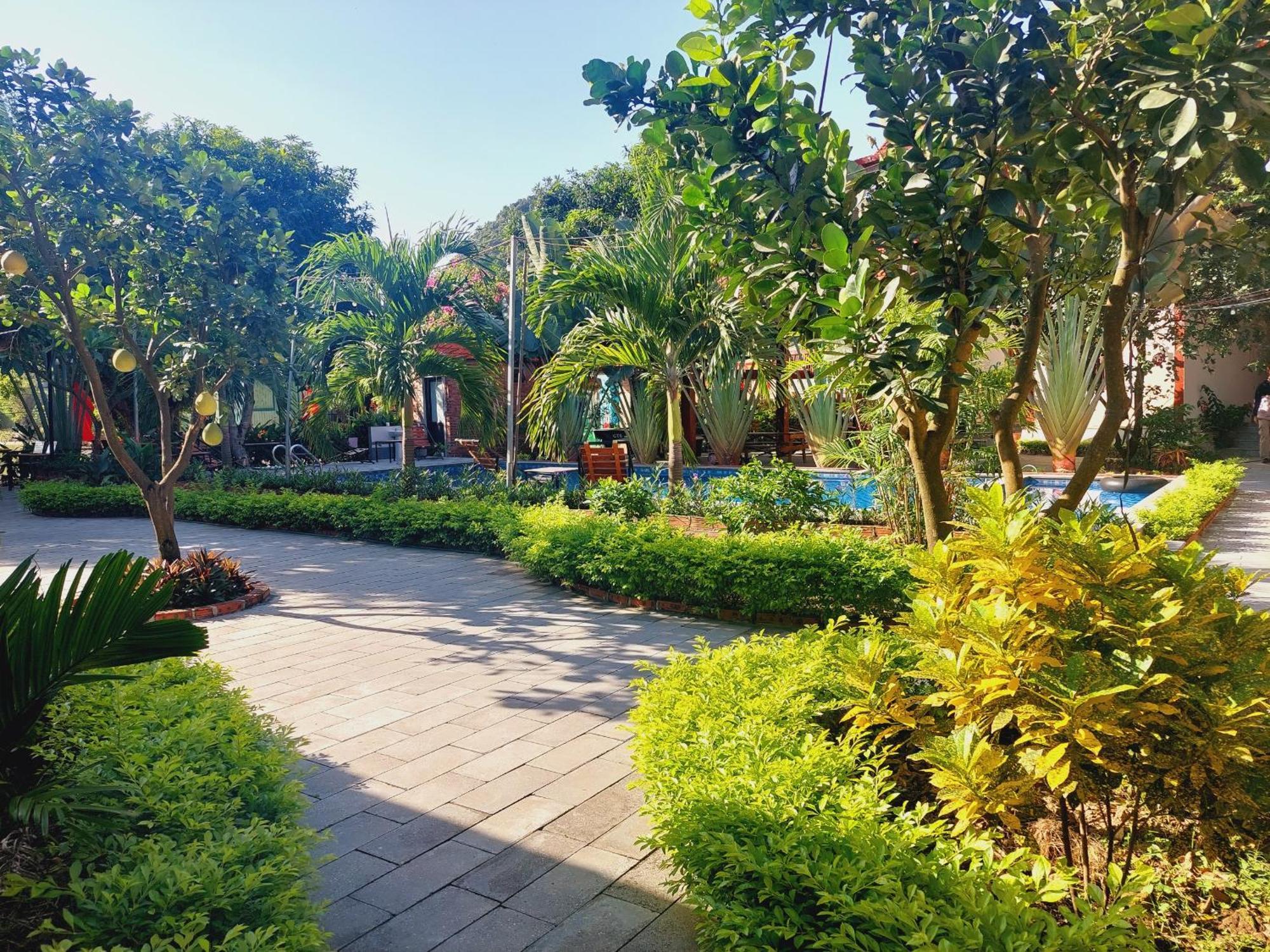 Ninh Binh Mountain Side Homestay & Cafe Esterno foto